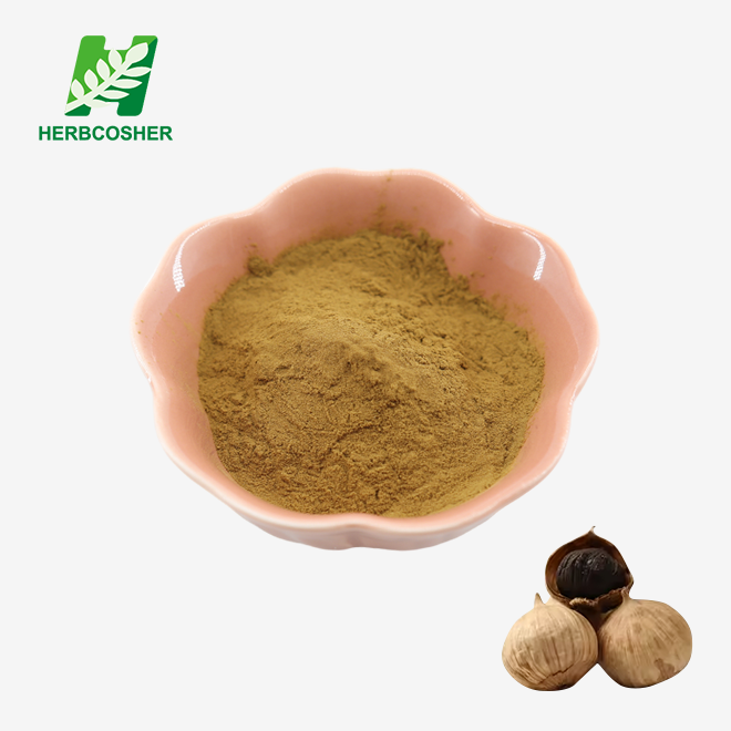 Black Garlic Extract Powder